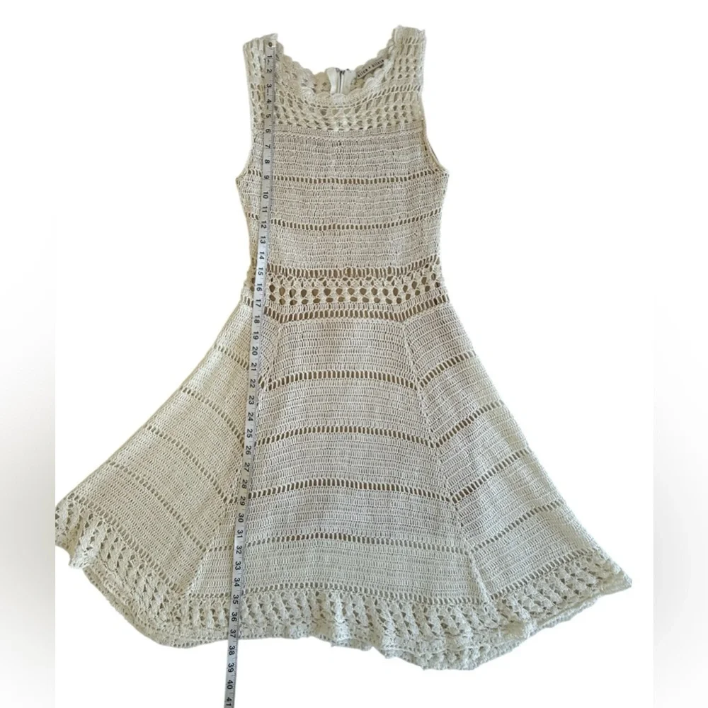 Alice + Olivia Noella Crochet Lace Dress S Ivory Cream Fit-and-Flare Above Knee - Picture 9 of 12